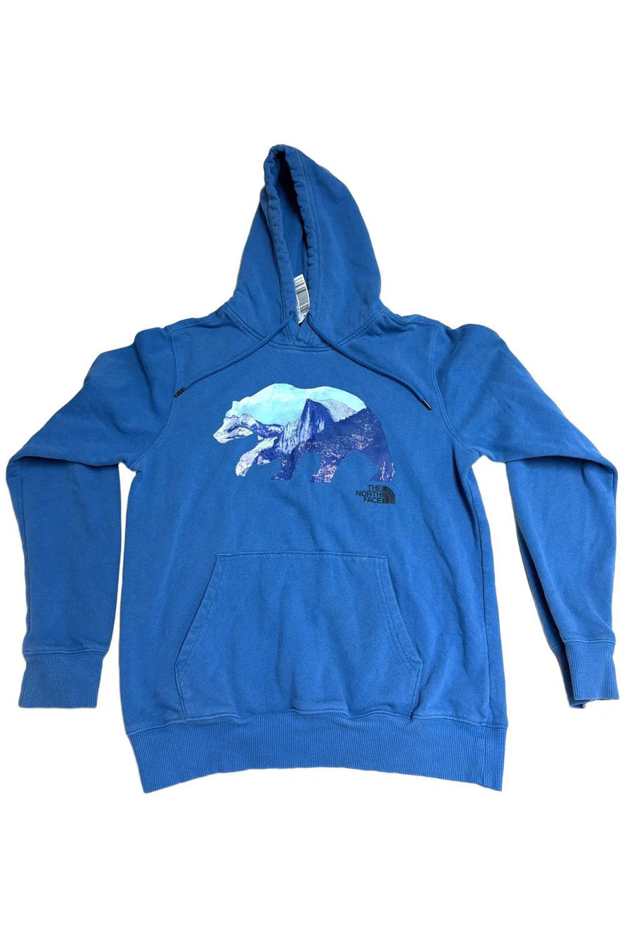 The North Face Men's TNF Bear Pullover Hoodie Blue